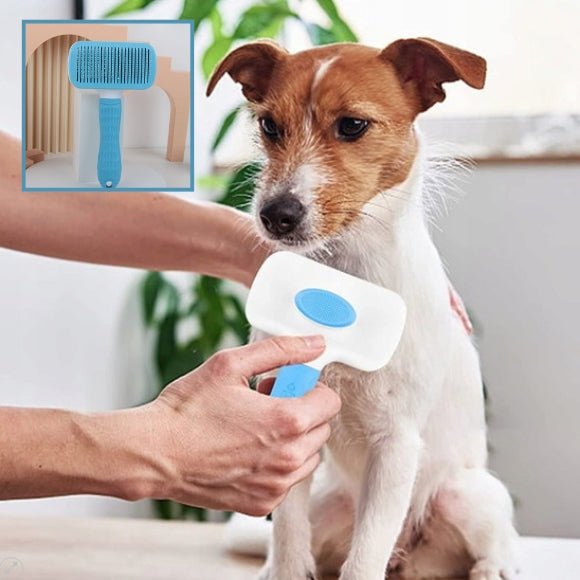 brosse chien
