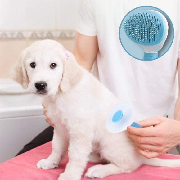 brosse chien