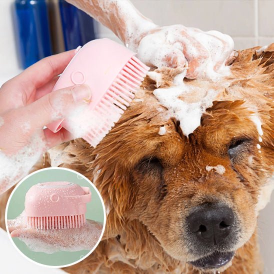 brosse chien
