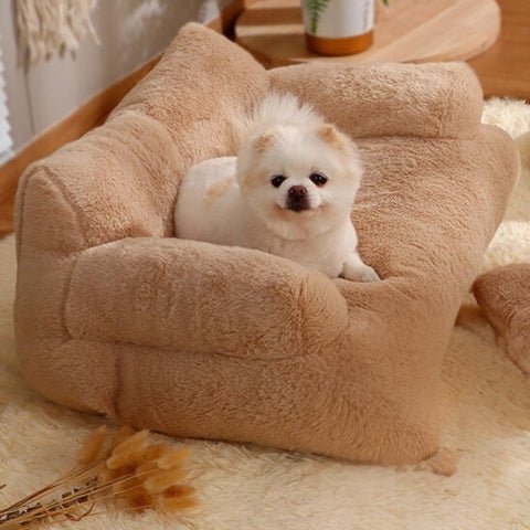 canape pour chien