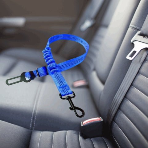 ceinture chien voiture