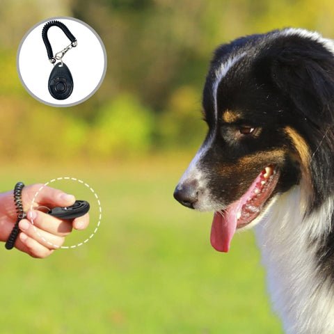 Clicker chien | DressClic™