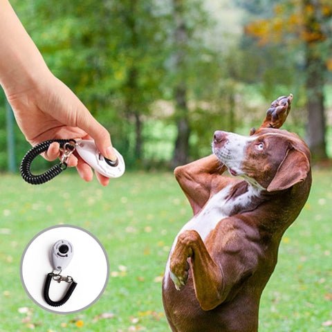 Clicker chien | DressClic™