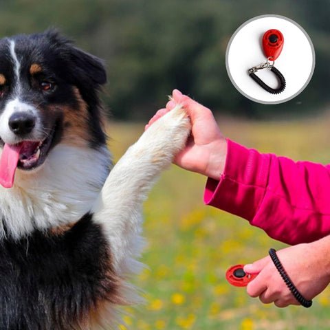 Clicker chien | DressClic™