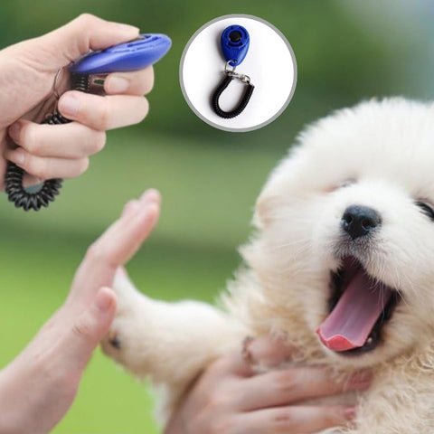 Clicker chien | DressClic™