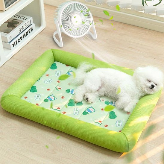 coussin pour chien
