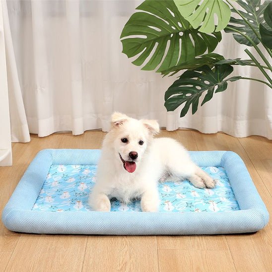 coussin pour chien