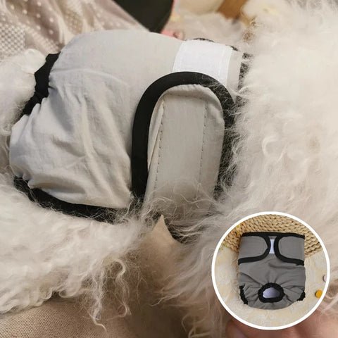 culotte pour chien