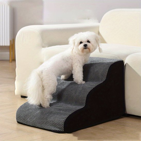 escalier pour chien
