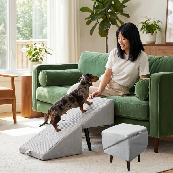 escalier pour chien