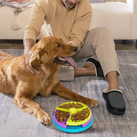 gamelle anti glouton chien