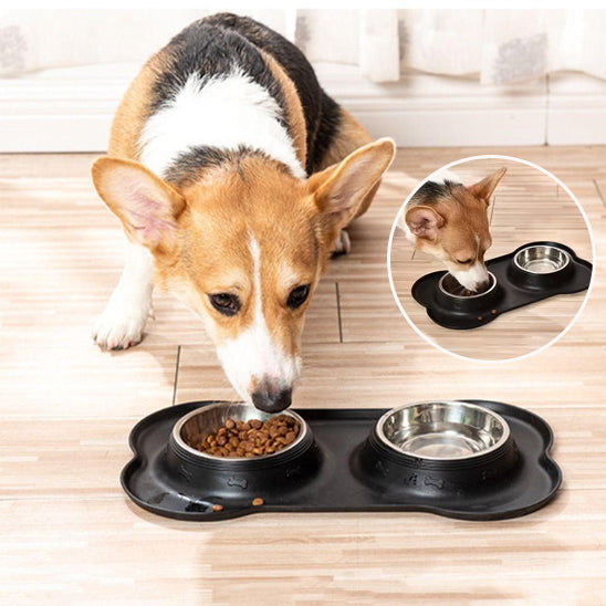 gamelle pour chien