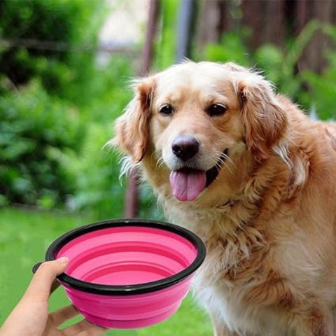 gamelle pour chien