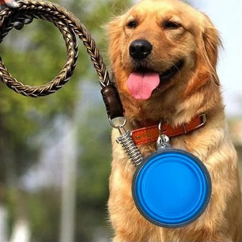 gamelle pour chien