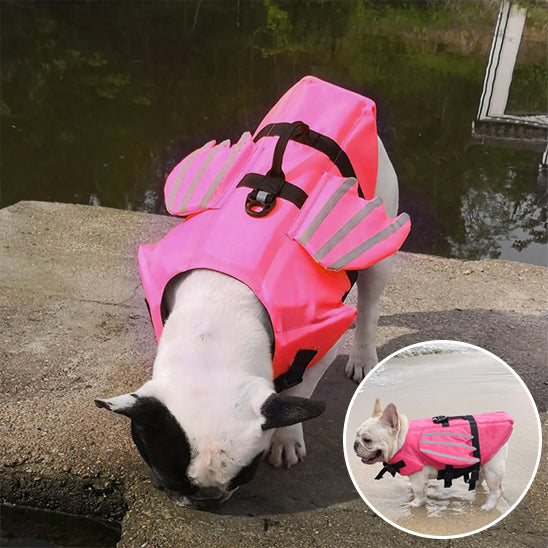 gilet de sauvetage chien