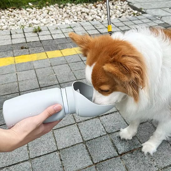 Gourde chien | WalkyPets™