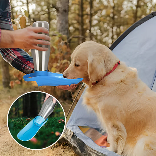 gourde pour chien