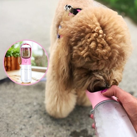 gourde pour chien