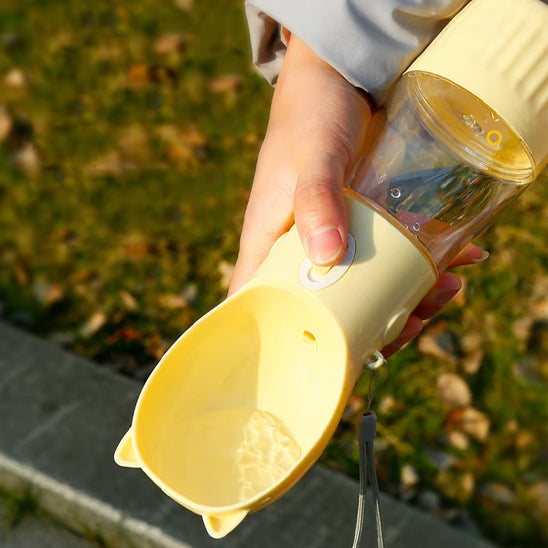 gourde pour chien