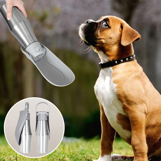 gourde pour chien