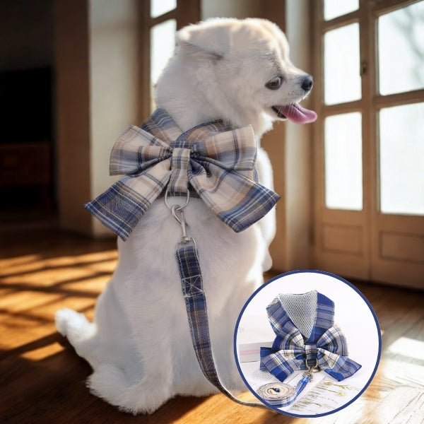 harnais pour chien