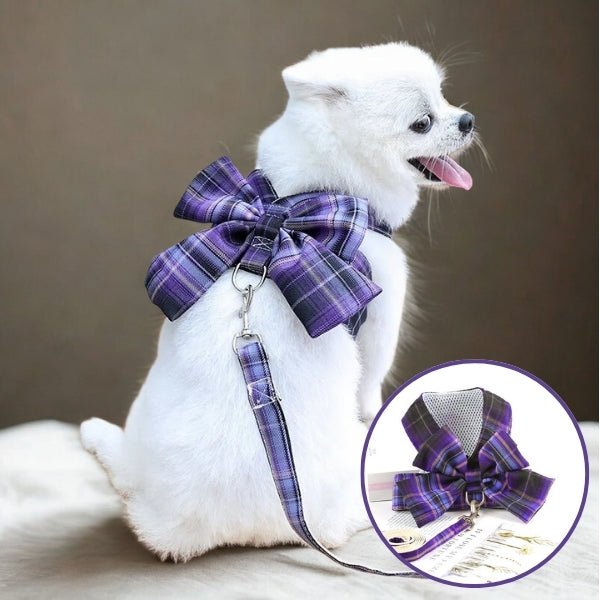 harnais pour chien