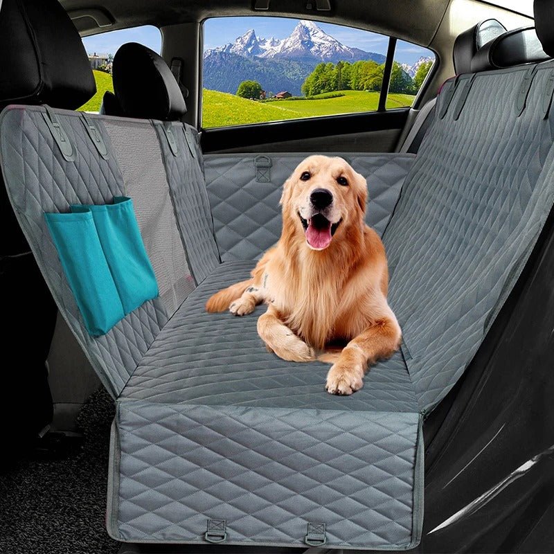 housse voiture chien