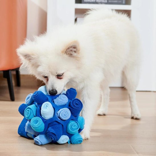 jouet pour chien