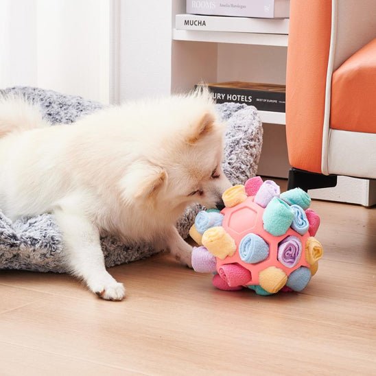 jouet pour chien