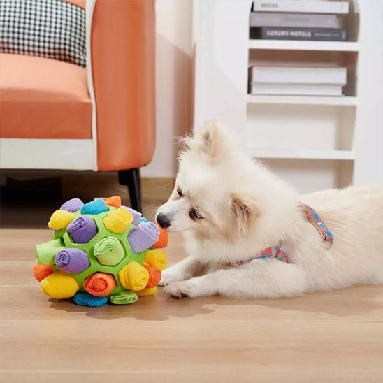 jouet pour chien