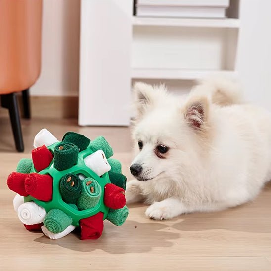jouet pour chien