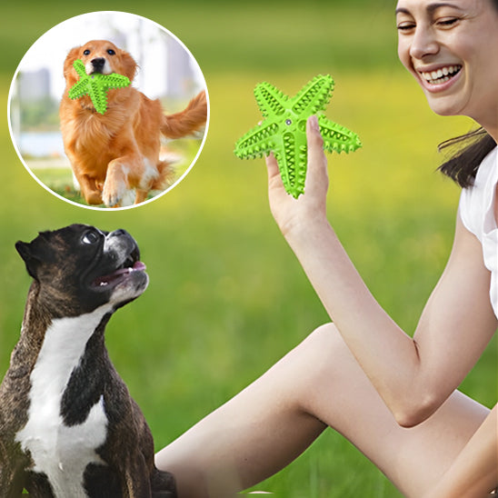 jouet pour chien