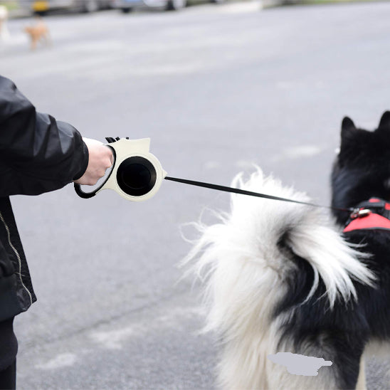 laisse pour chien