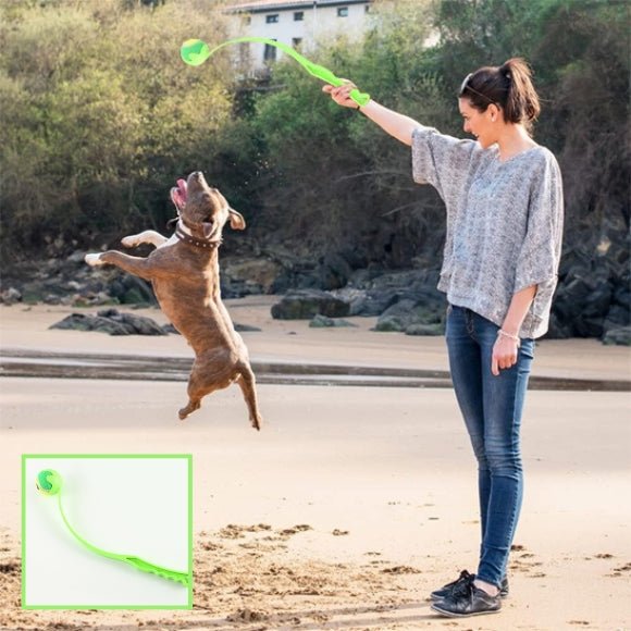 lanceur de balle pour chien