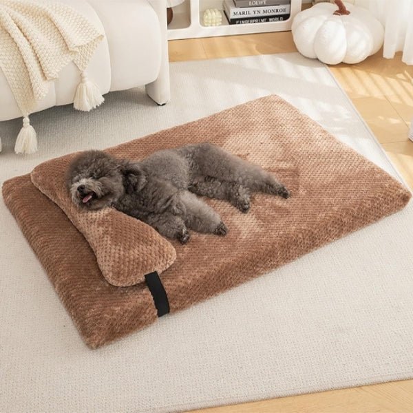 lit pour chien