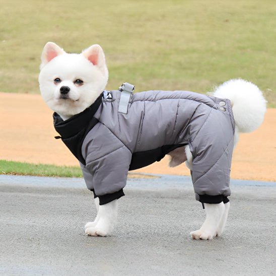 manteau-pour-chien