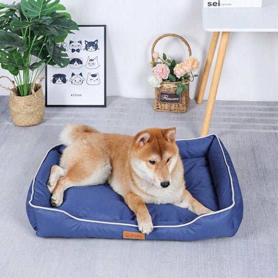 panier pour chien