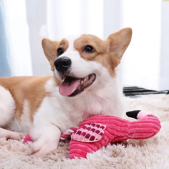 peluche chiens flamant rose