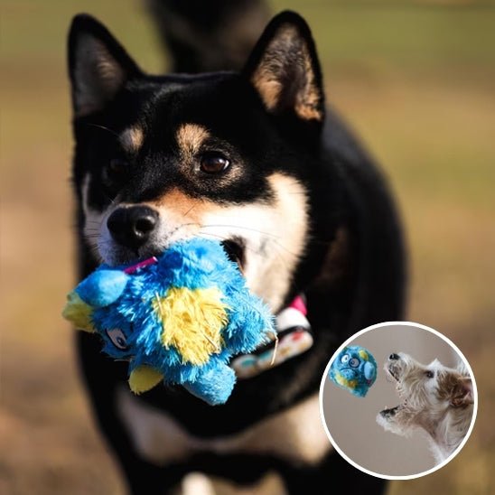peluche chien