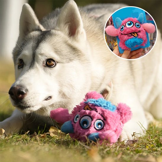 peluche chien