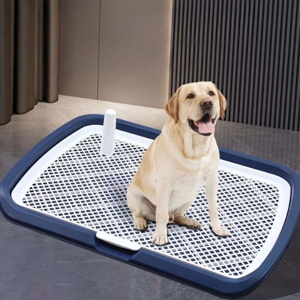 plateau de proprete pour chien