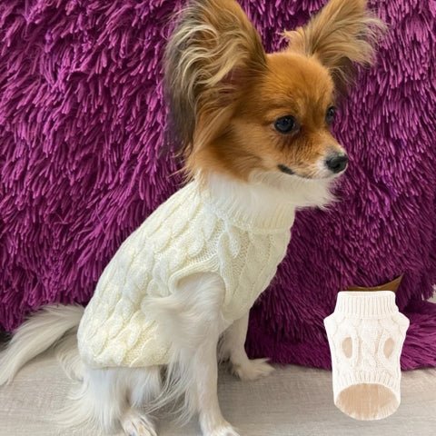 pull pour chien
