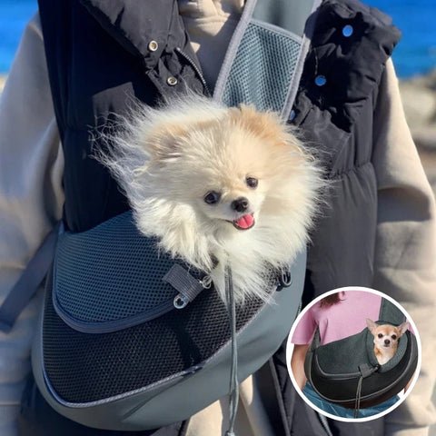 sac bandouliere pour chien