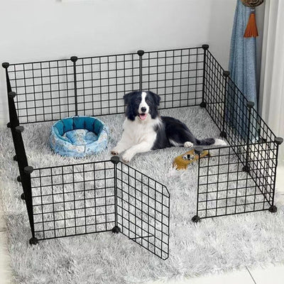 parc pour chien
