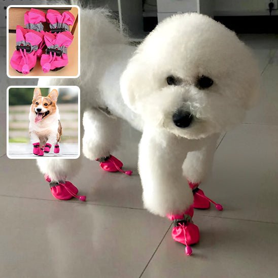 Bottes pour chien | SnowBoots™