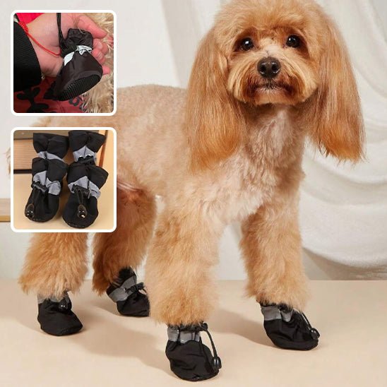 Bottes pour chien | SnowBoots™