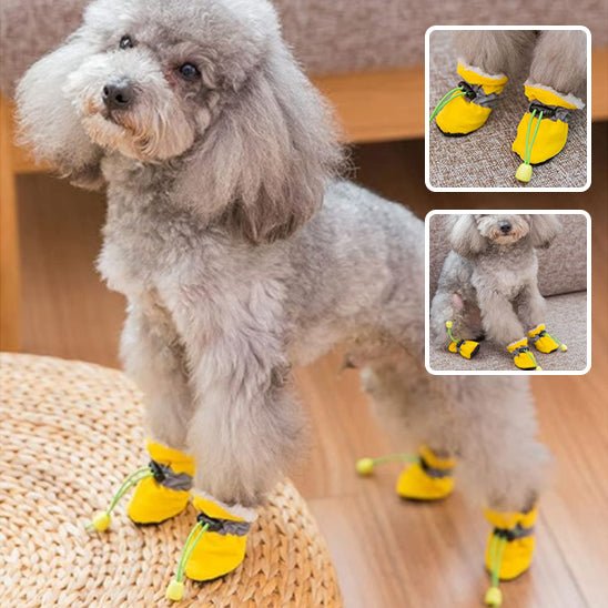 Bottes pour chien | SnowBoots™