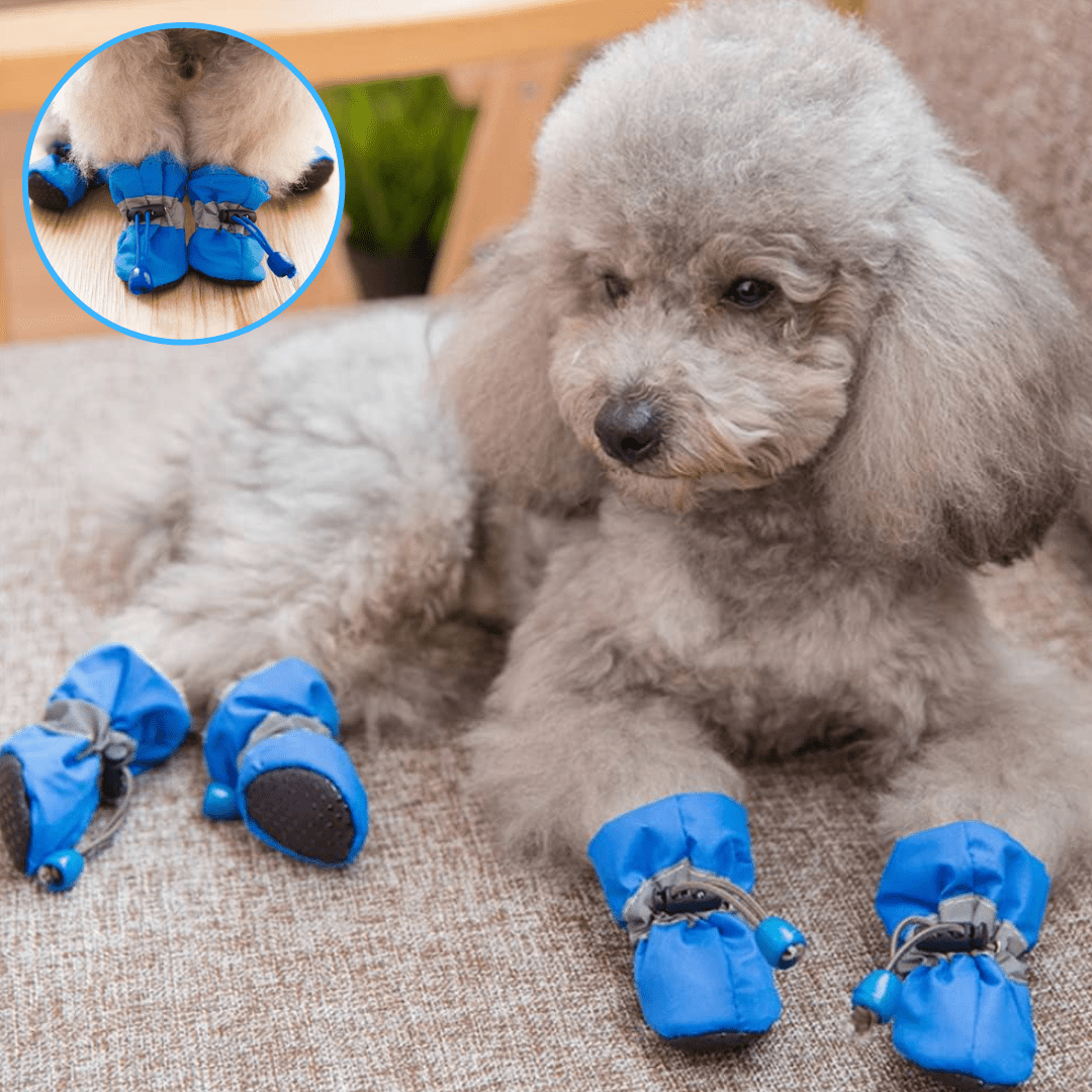 Bottes pour chien | SnowBoots™