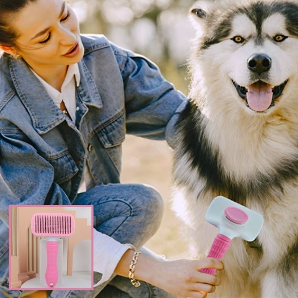 brosse chien