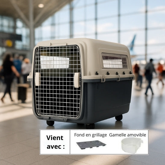 cage pour chien